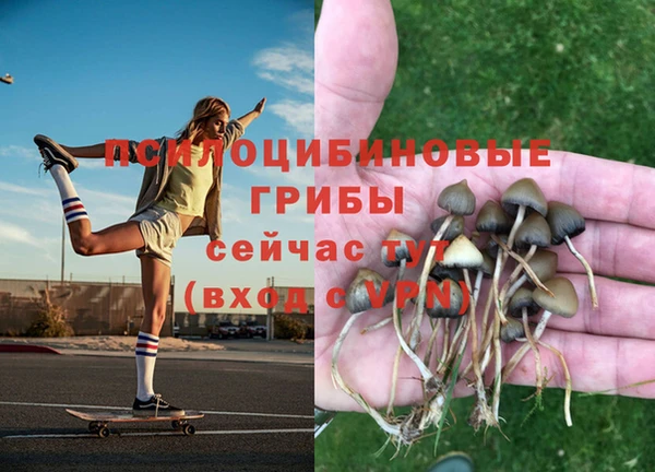 кокаин колумбия Абаза
