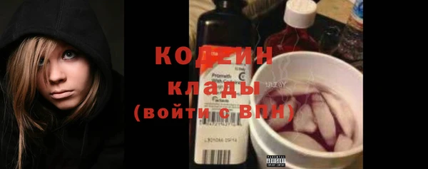 2c-b Пересвет